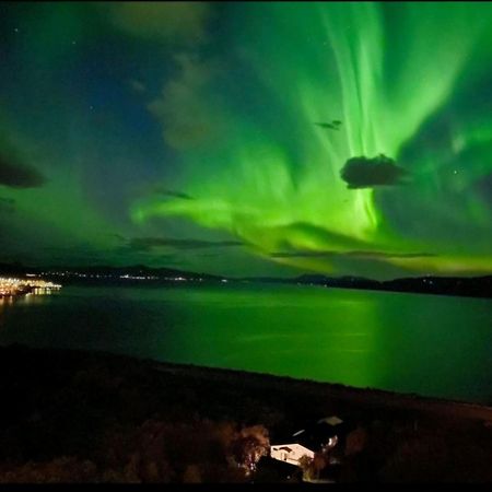 Hoy Standard. Mye For Pengene. Gratis Velkomstgave Narvik Kültér fotó