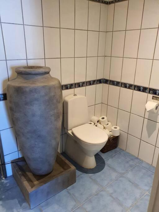 Hoy Standard. Mye For Pengene. Gratis Velkomstgave Narvik Kültér fotó